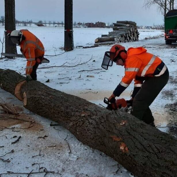 VacatureMedewerkerGroenvoorziening3
