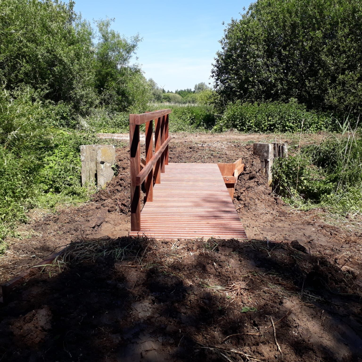 cropped-cropped-WhatsApp-Image-2022-10-19-at-9.10.59-AM